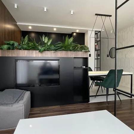 Zielone Tarasy - Next To The Beach With Garage Apartment *