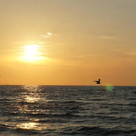 Zielone Tarasy - Next To The Beach With Garage Appartement *