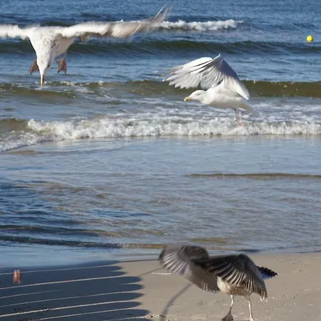 Zielone Tarasy - Next To The Beach With Garage *